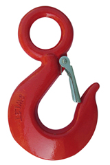 320 Eye Hoist Hook with Latch